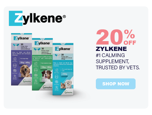 Zylkene - Complément apaisant pour chiens et chats